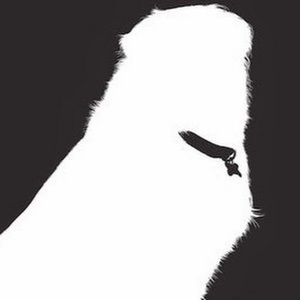 Meet your Posher, Johannah